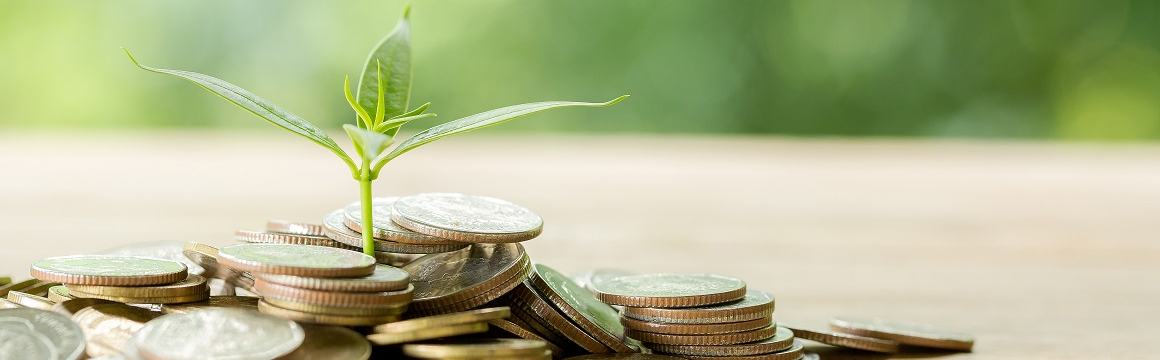 growmoney_1160x360