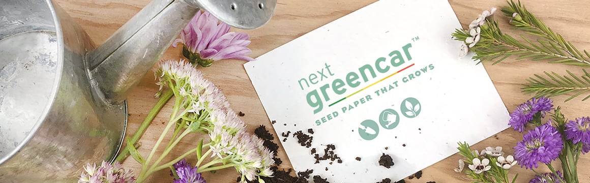 c-seedpaper-new_1160x360