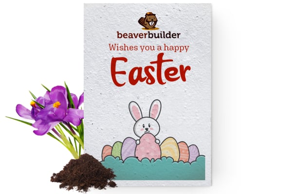 easter-seedpaperflower_900x600