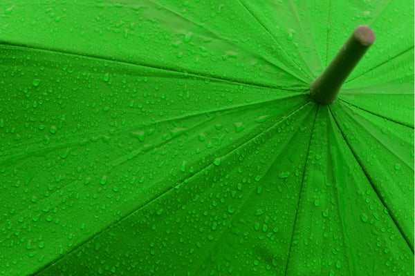 greenumbrella_900x600